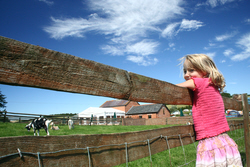 Image: Pets' Corner at Bagwell Farm Touring Park, Weymouth, Dorset